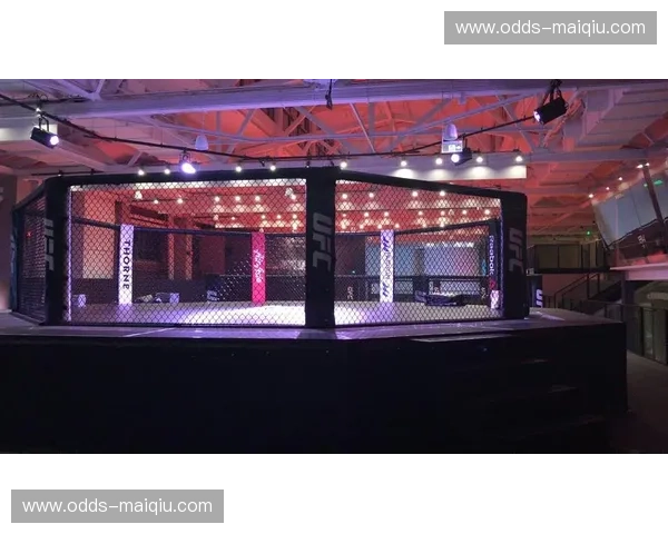 铁拳之巅：深度解析UFC重量级传奇——桑托斯vs宿命的对决